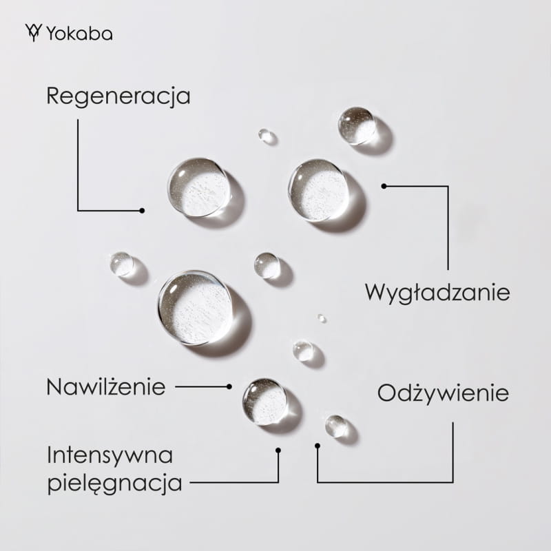 Y-PM-00036.jpg