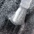 2025_09_10_935_catstella_closeup_2_800x800 (1).webp