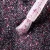 2026_01_13_dry_top_shine_bright_pink_closeup_800x800.webp