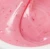 blush_camellia_01.webp