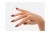 Swatch koloru lakieru hybrydowego Victoria Vynn Pure 217 Twilight in Paris na paznokciach