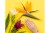 Victoria Vynn Pure Creamy Hybrid 197 Cold Heather 8 ml - prezentacja koloru