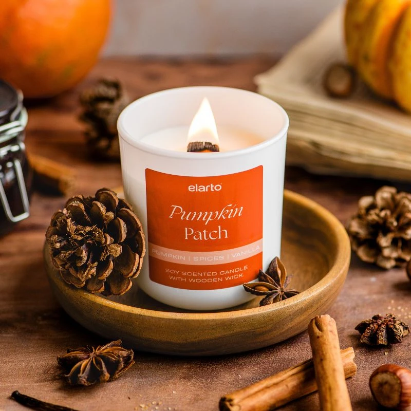 elarto-swieca-sojowa-zapachowa-warm-pumpkin-patch-175-g-1.webp