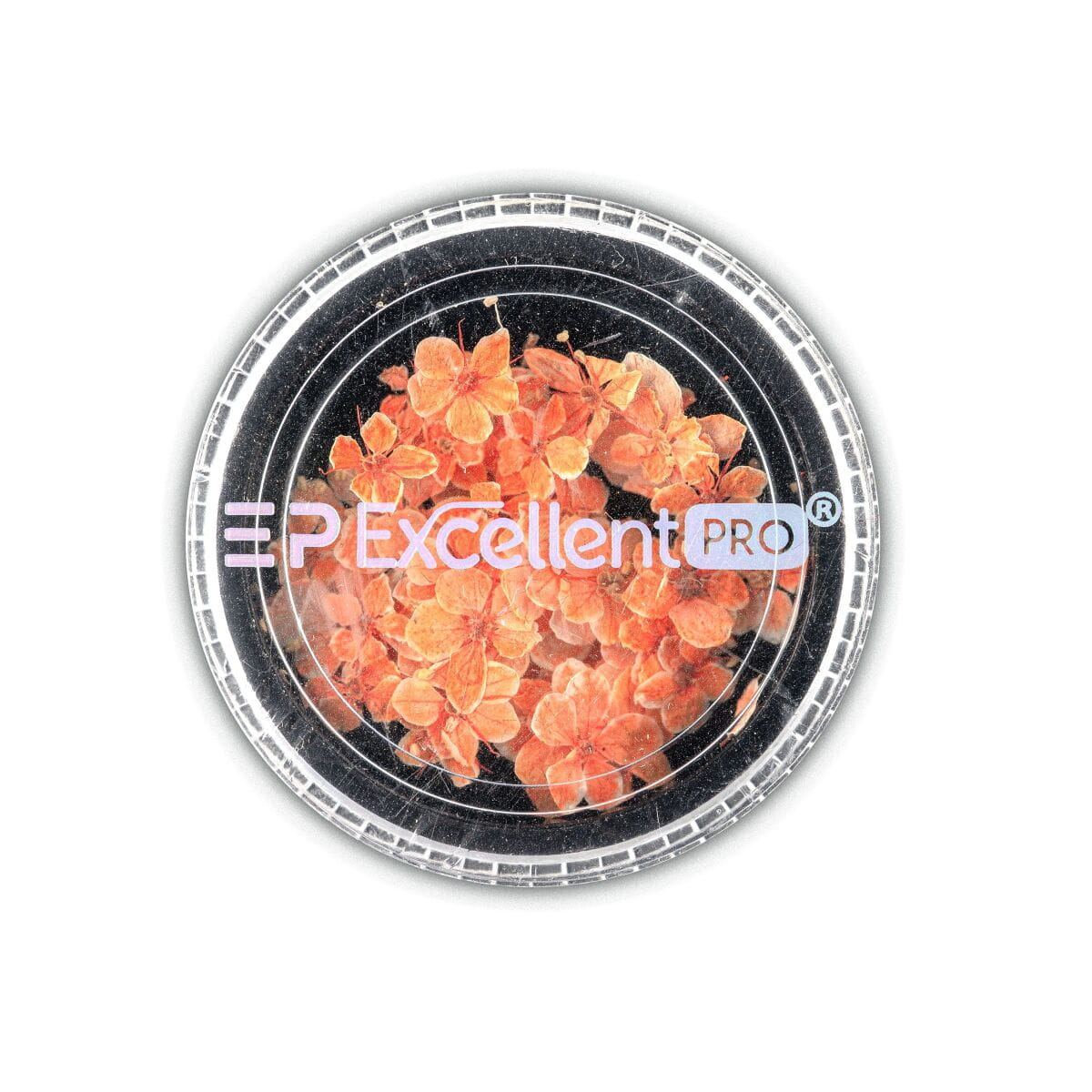large_Excellent-PRO-Dry-Flowers-010.jpg