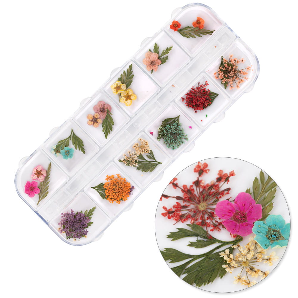 suszone-kwiaty-do-zdobien-paznokci-w-kasetce-molly-nails-rodzaj-e-36szt.jpg